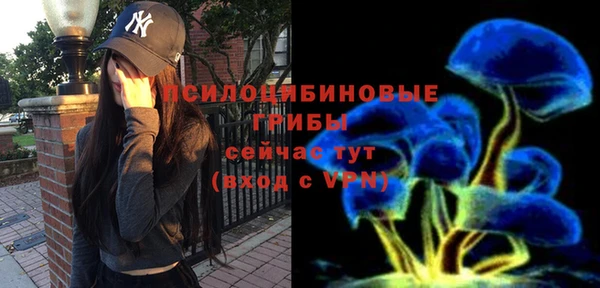 прущие крисы Балахна