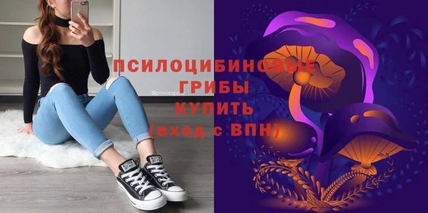 прущие крисы Балахна