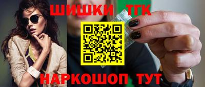 прущие грибы Кандалакша