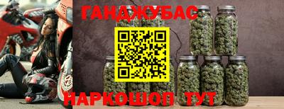 прущие грибы Кандалакша
