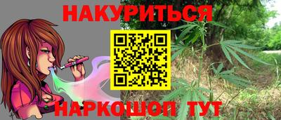 прущие грибы Кандалакша