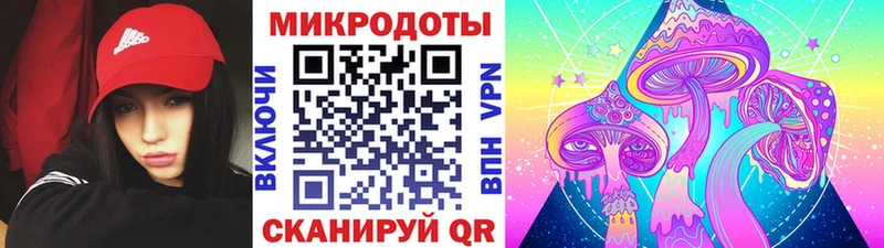 цена наркотик  Ногинск  Псилоцибиновые грибы Psilocybe 