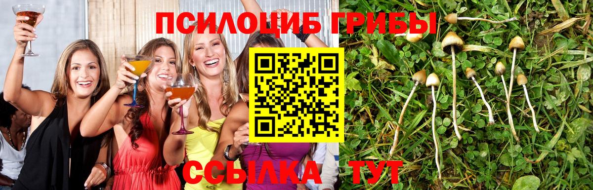 Псилоцибиновые грибы мицелий Ногинск