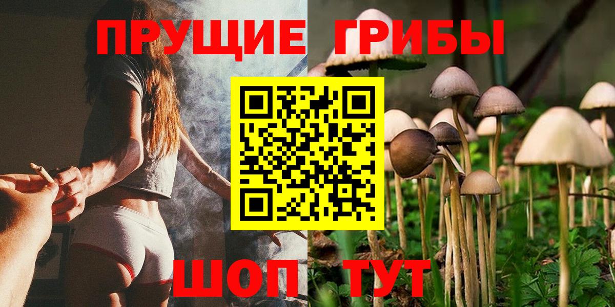 Ногинск  цены   Вход с VPN  Галлюциногенные грибы MAGIC MUSHROOMS 
